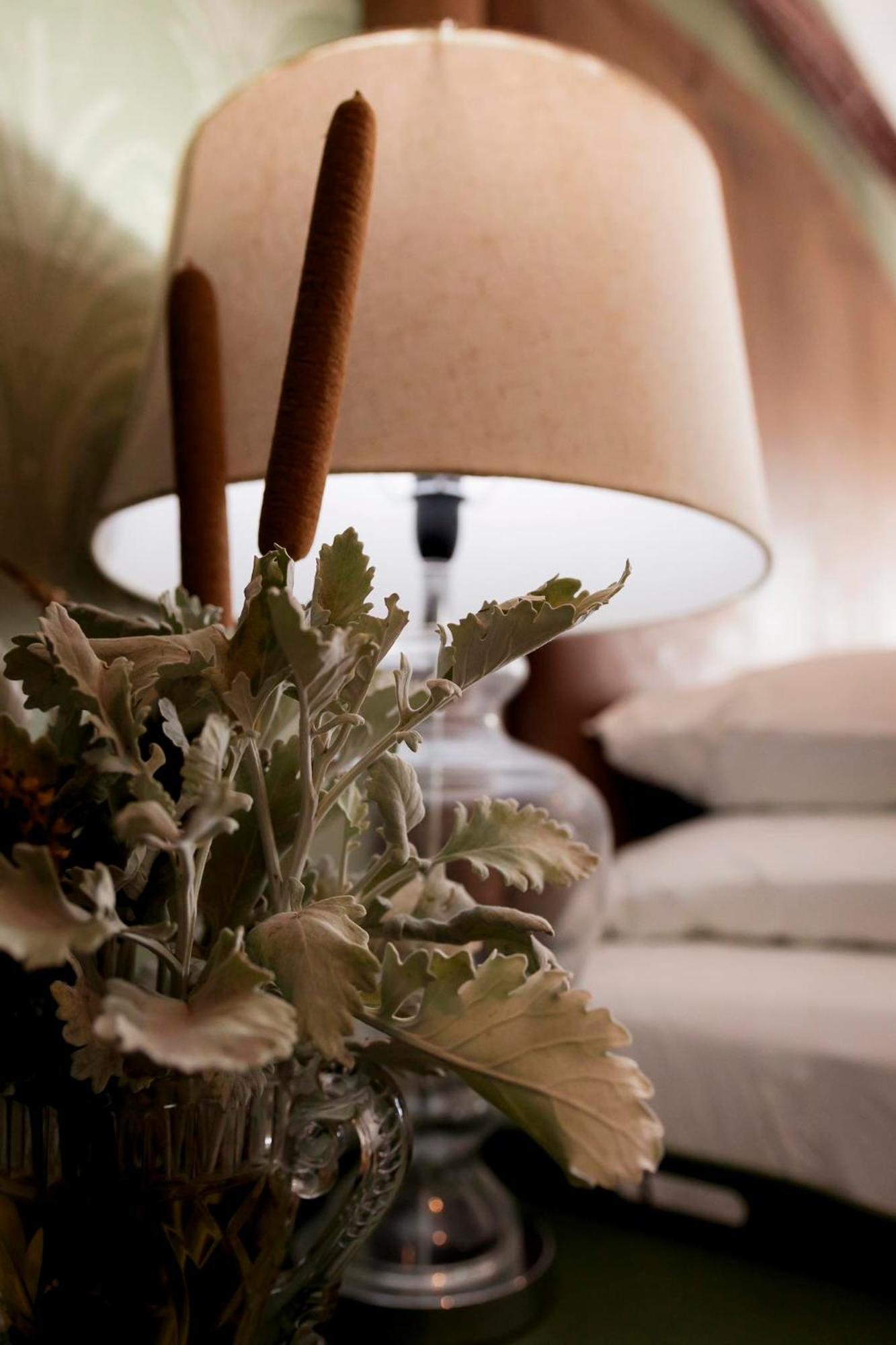 Sweetfontein Boutique Farm Lodge Britstown 外观 照片